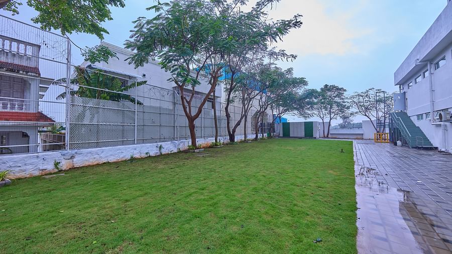 trees beside Rathas - the lawn at Grand Continent, Mahabalipuram